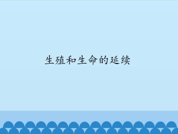 生殖和生命的延续_课件1