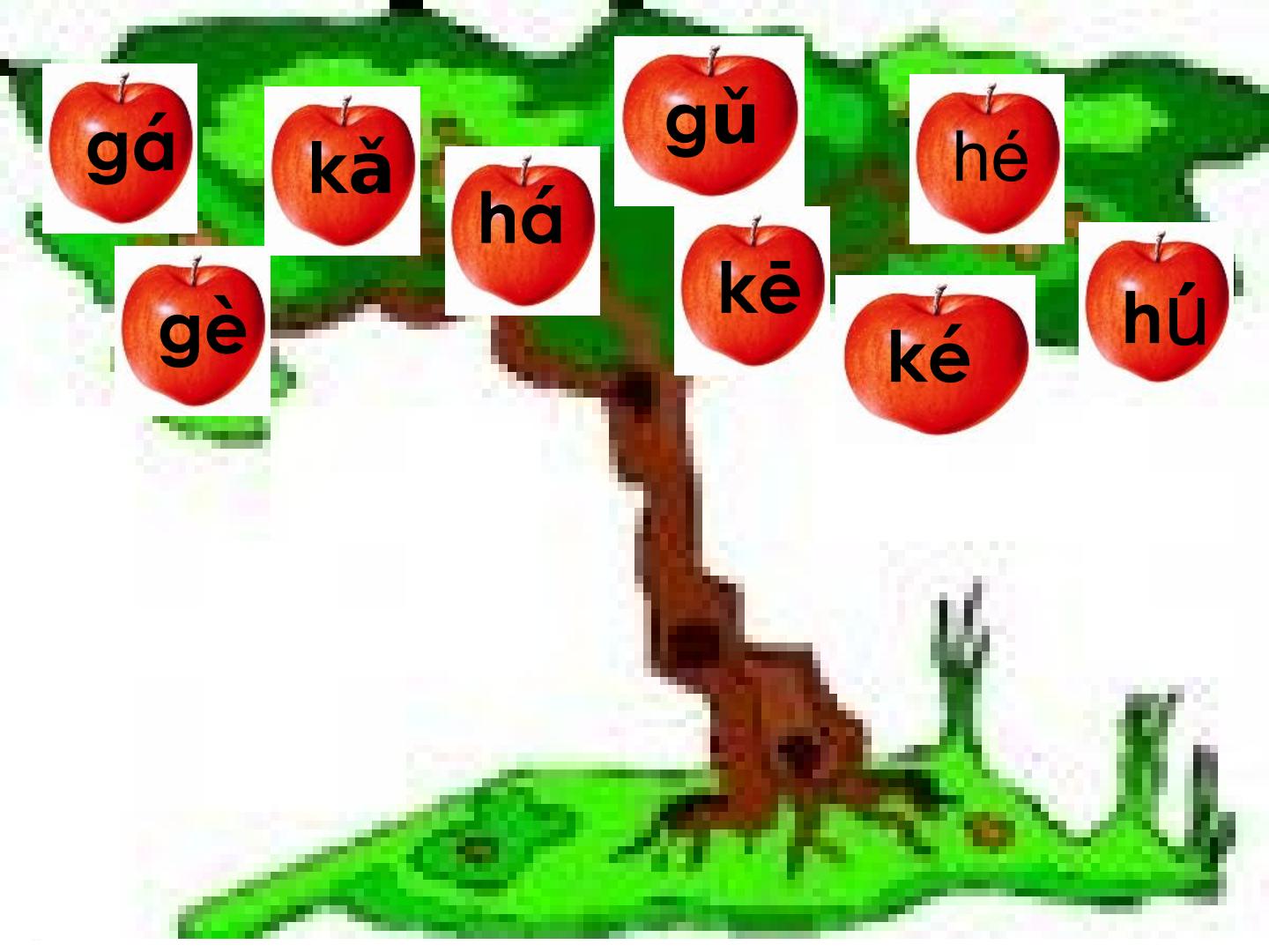 15.jpg