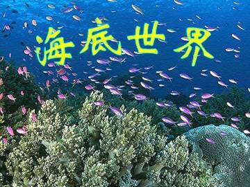 海底世界_课件1