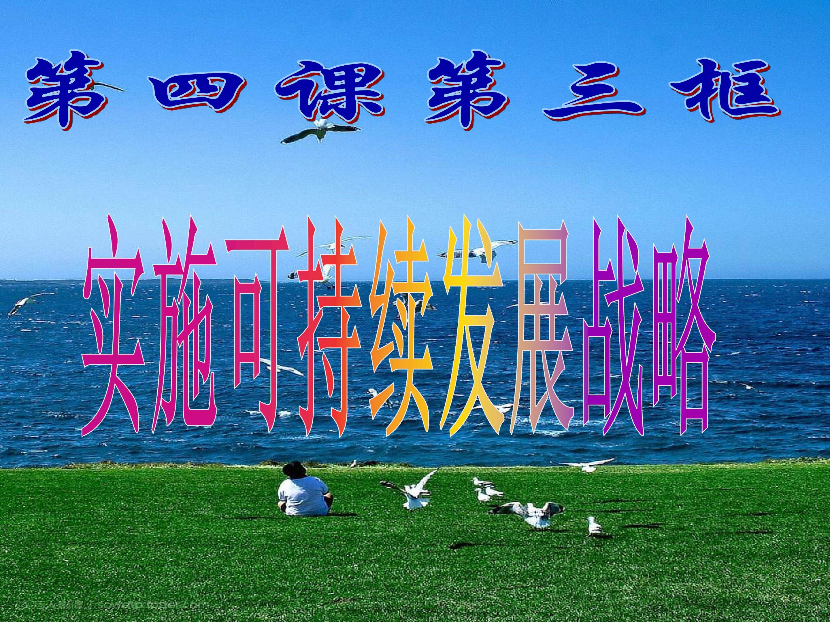 实施可持续发展战略