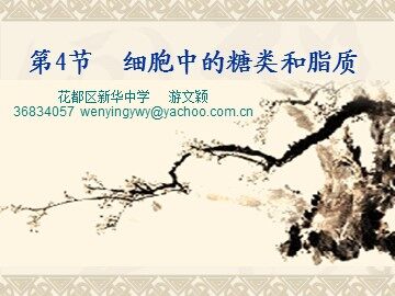 生物高中必修1第二章第四节课件4