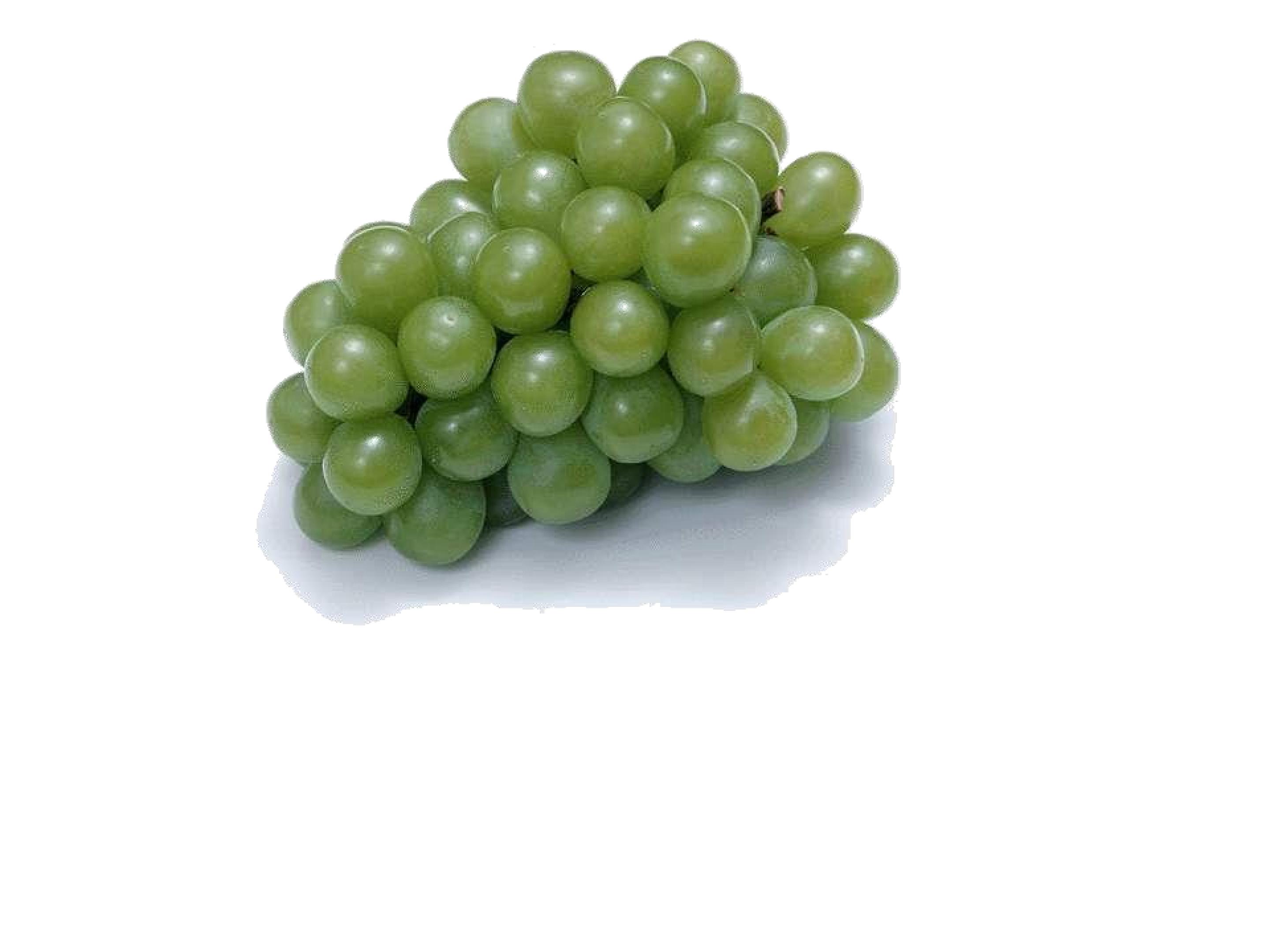 25.jpg