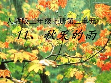 11 秋天的雨