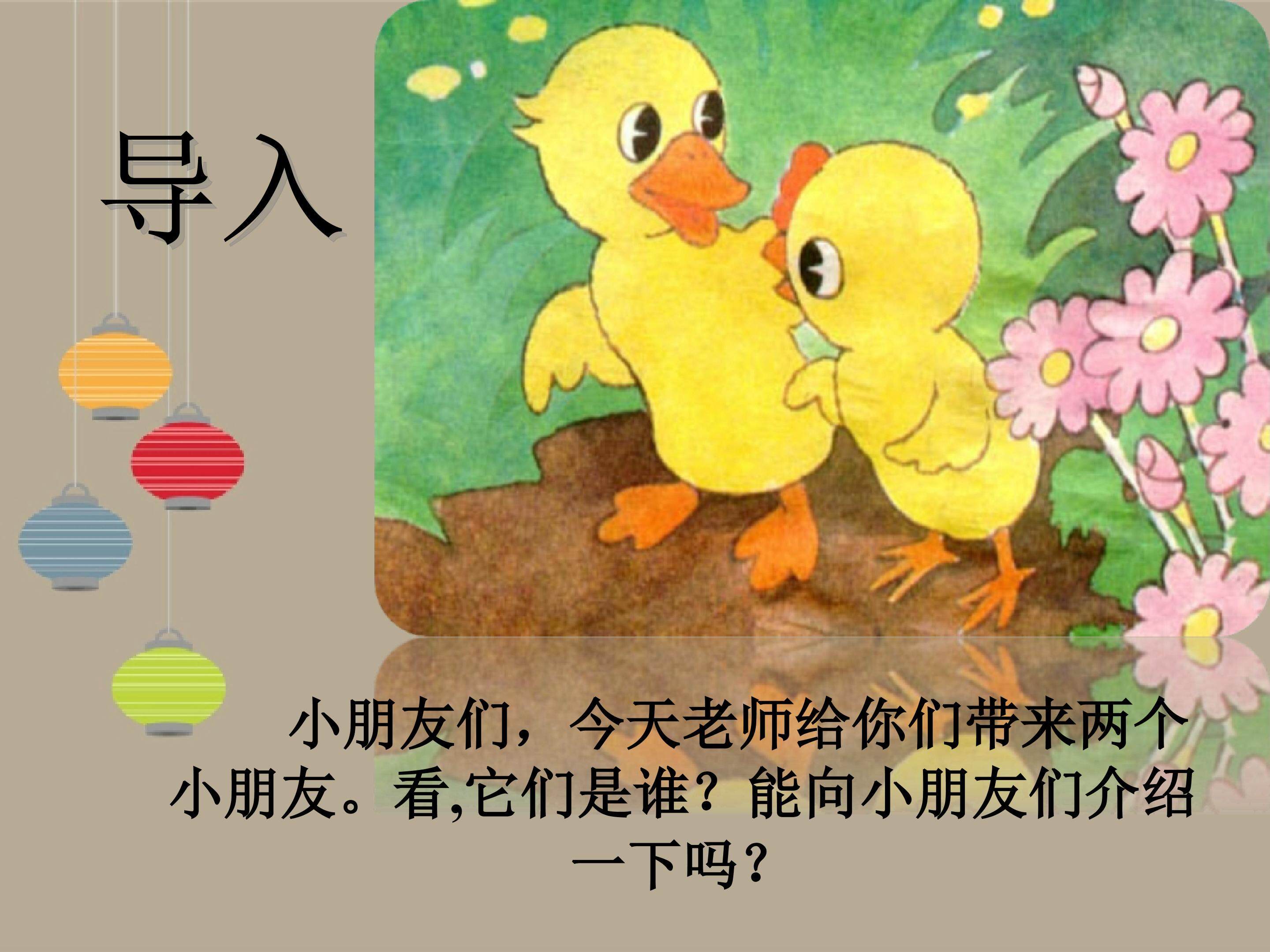 小公鸡和小鸭子