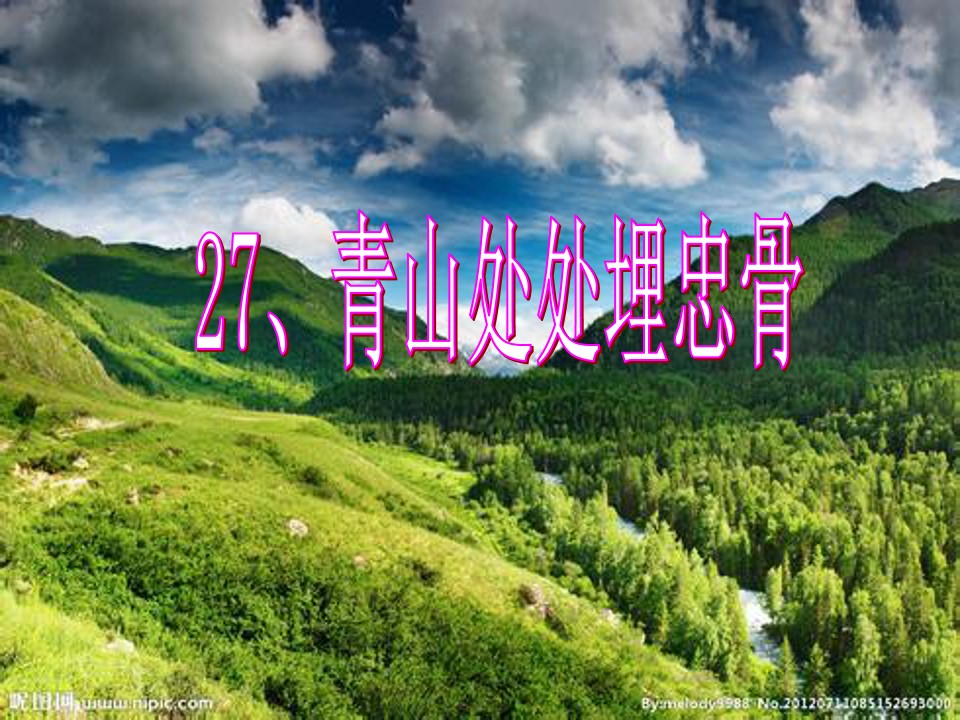 《青山处处埋忠骨》