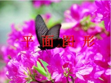 平面图形_课件1