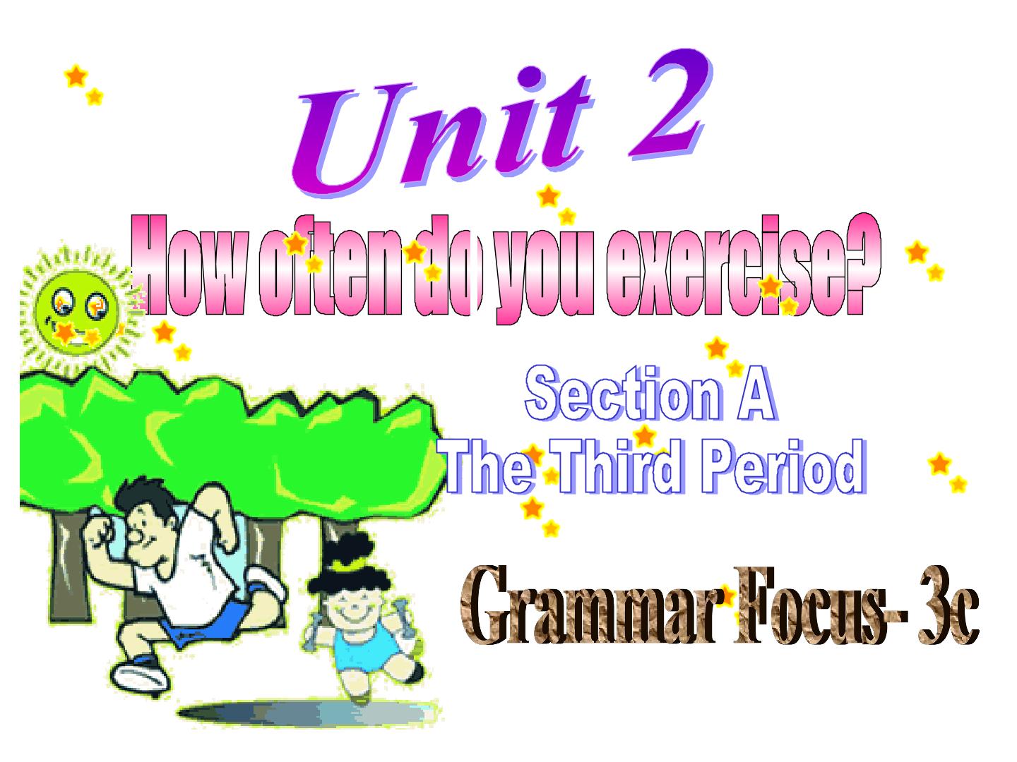 Section A Grammar focus  3a—3c