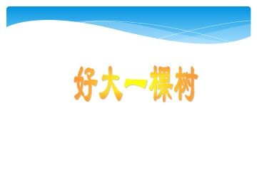 我骄傲，我是一棵树_课件3