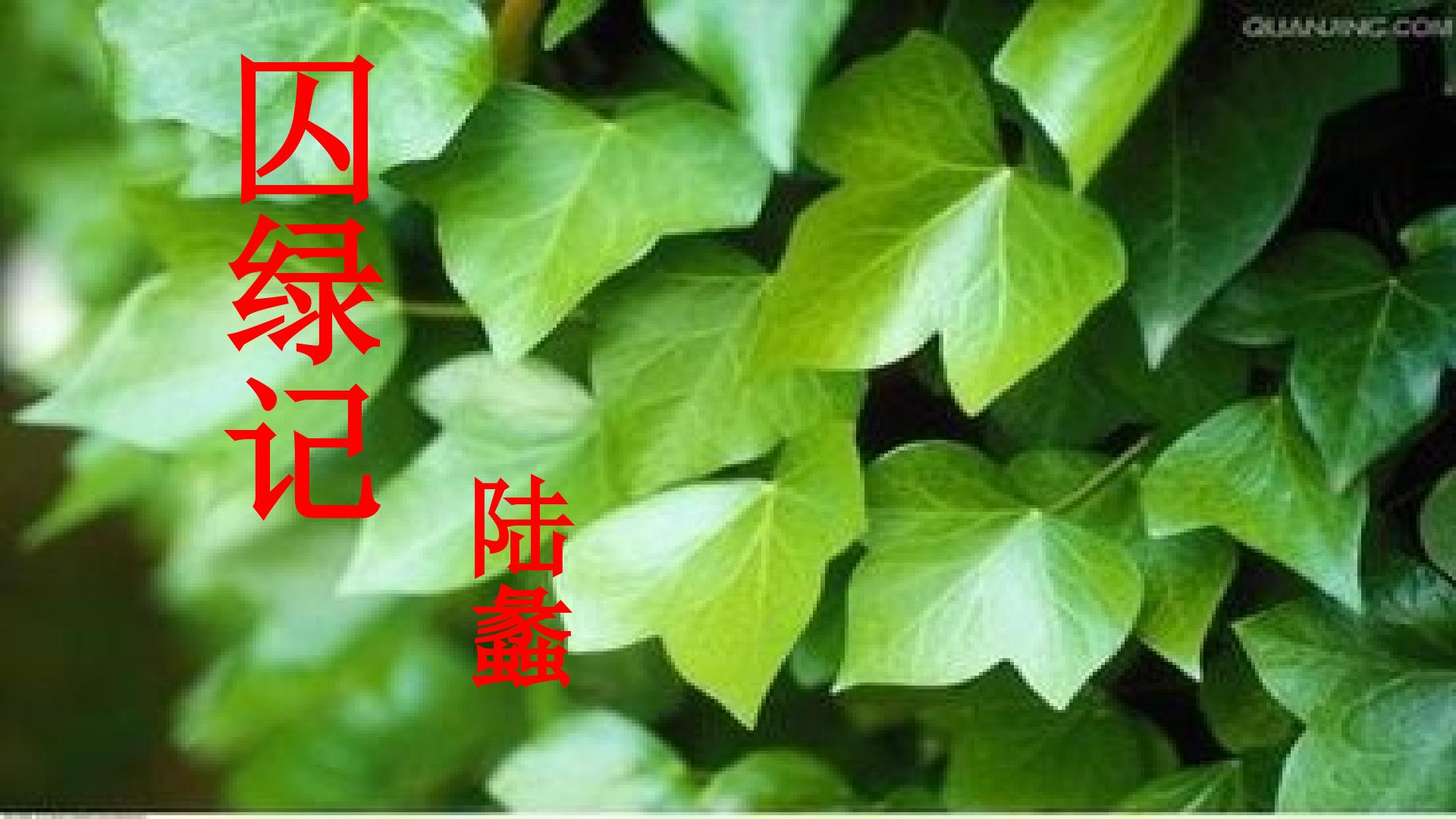 囚绿记