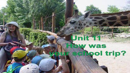 【★★★】【课件】7年级下册英语人教版Unit 11 Section A 01