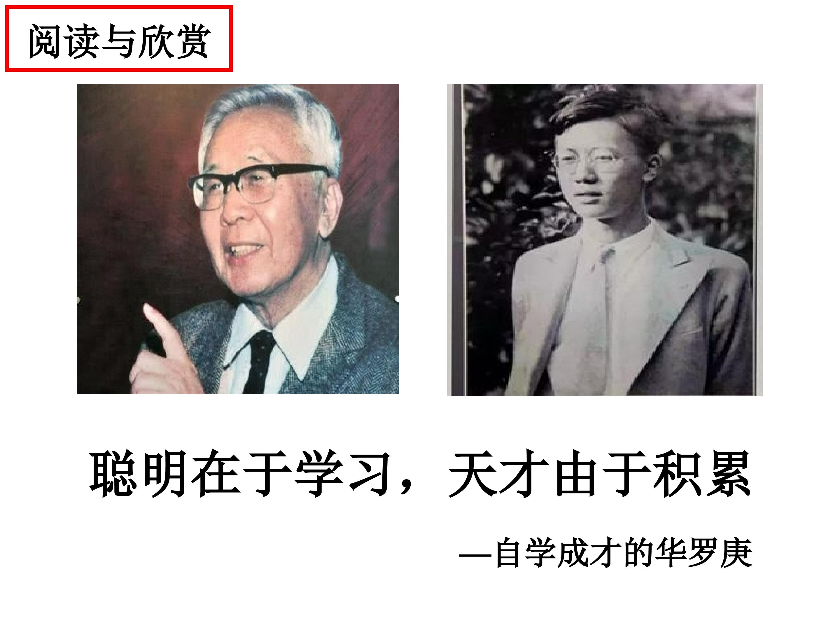 聪明在于学习，天才由于积累—自学成才的华罗庚