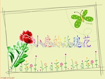 4 小鹿的玫瑰花 