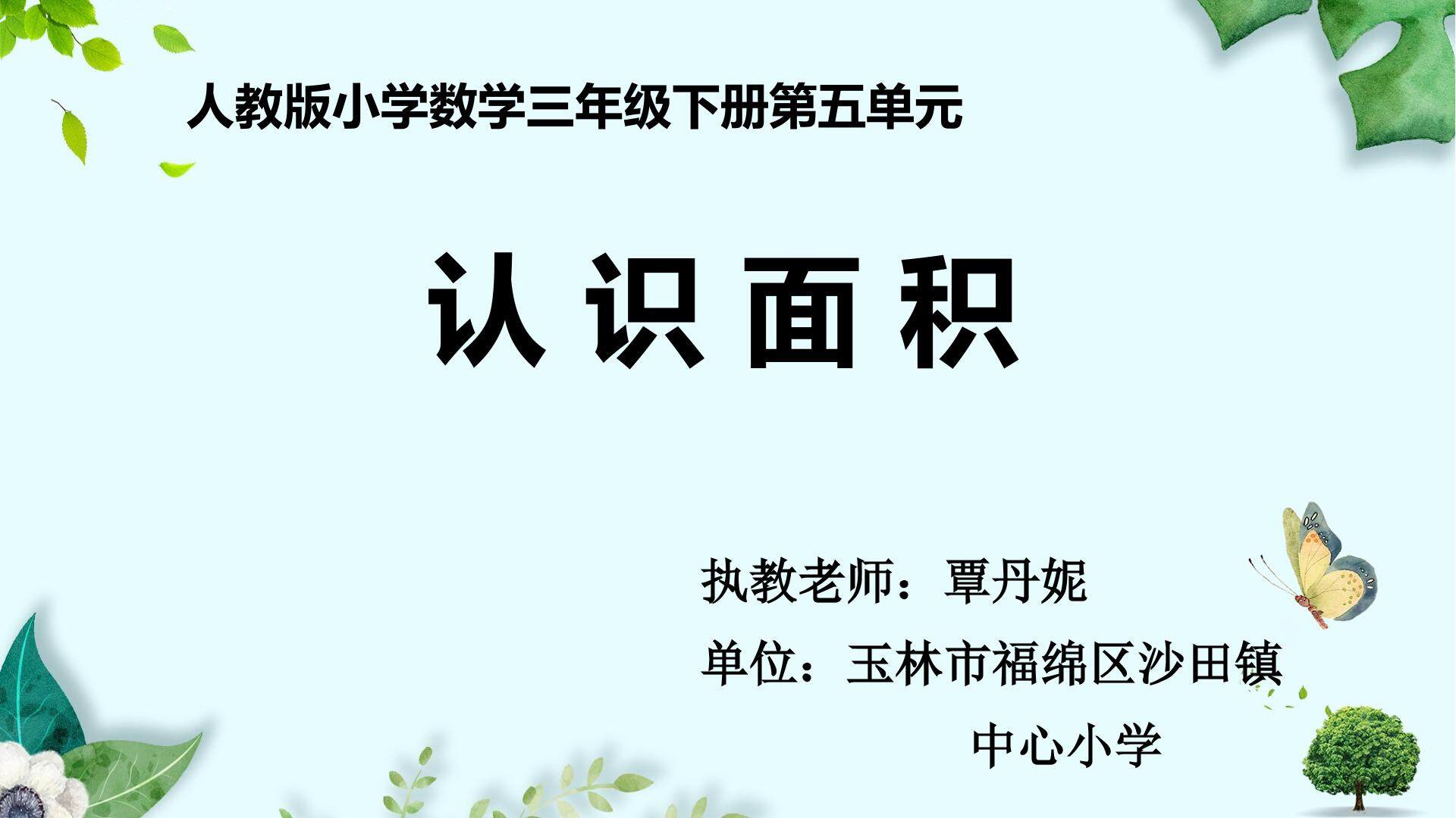 认识面积