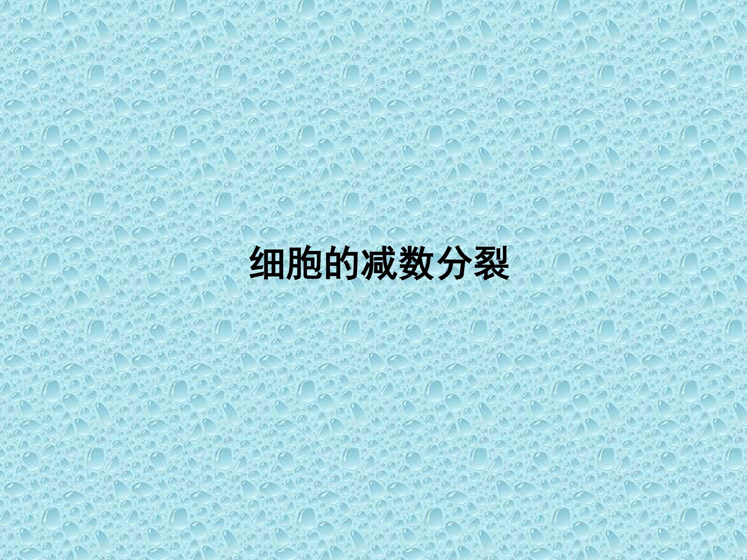 细胞的减数分裂_课件1