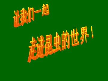 绿色蝈蝈_课件10