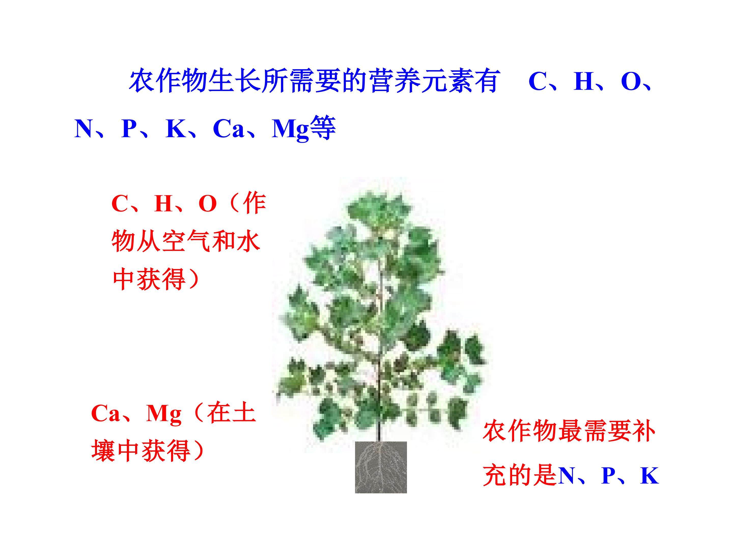 九年级化学第十一单元课题二  化肥