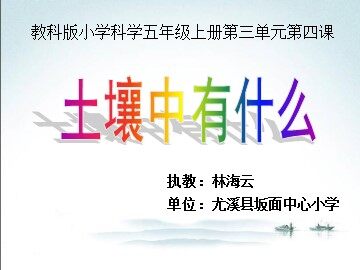《土壤中有什么》