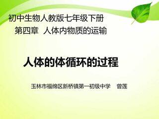 人体的体循环的过程