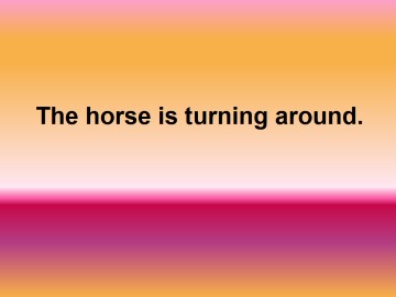 The horse is turning around._课件1