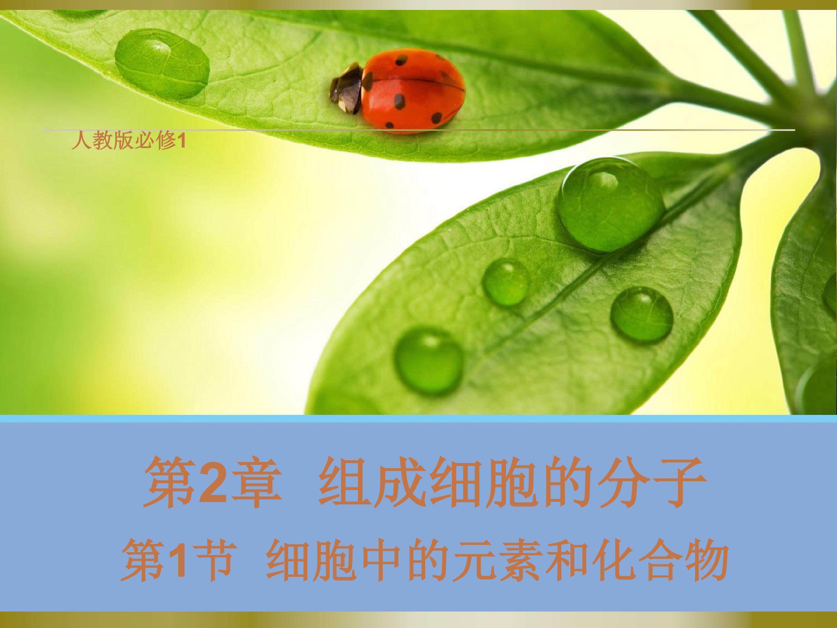 细胞中的元素和化合物