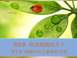 细胞中的元素和化合物