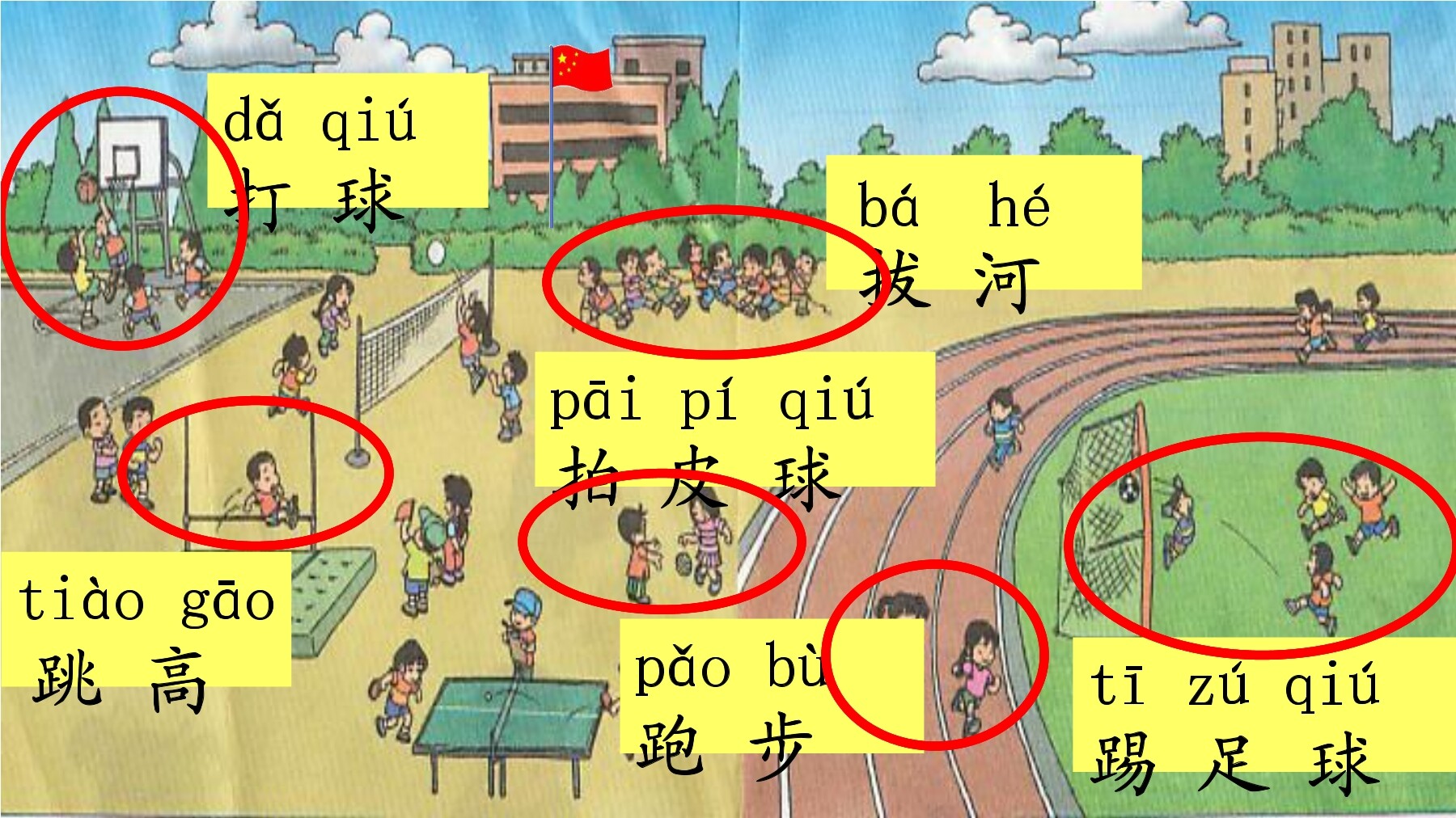6
