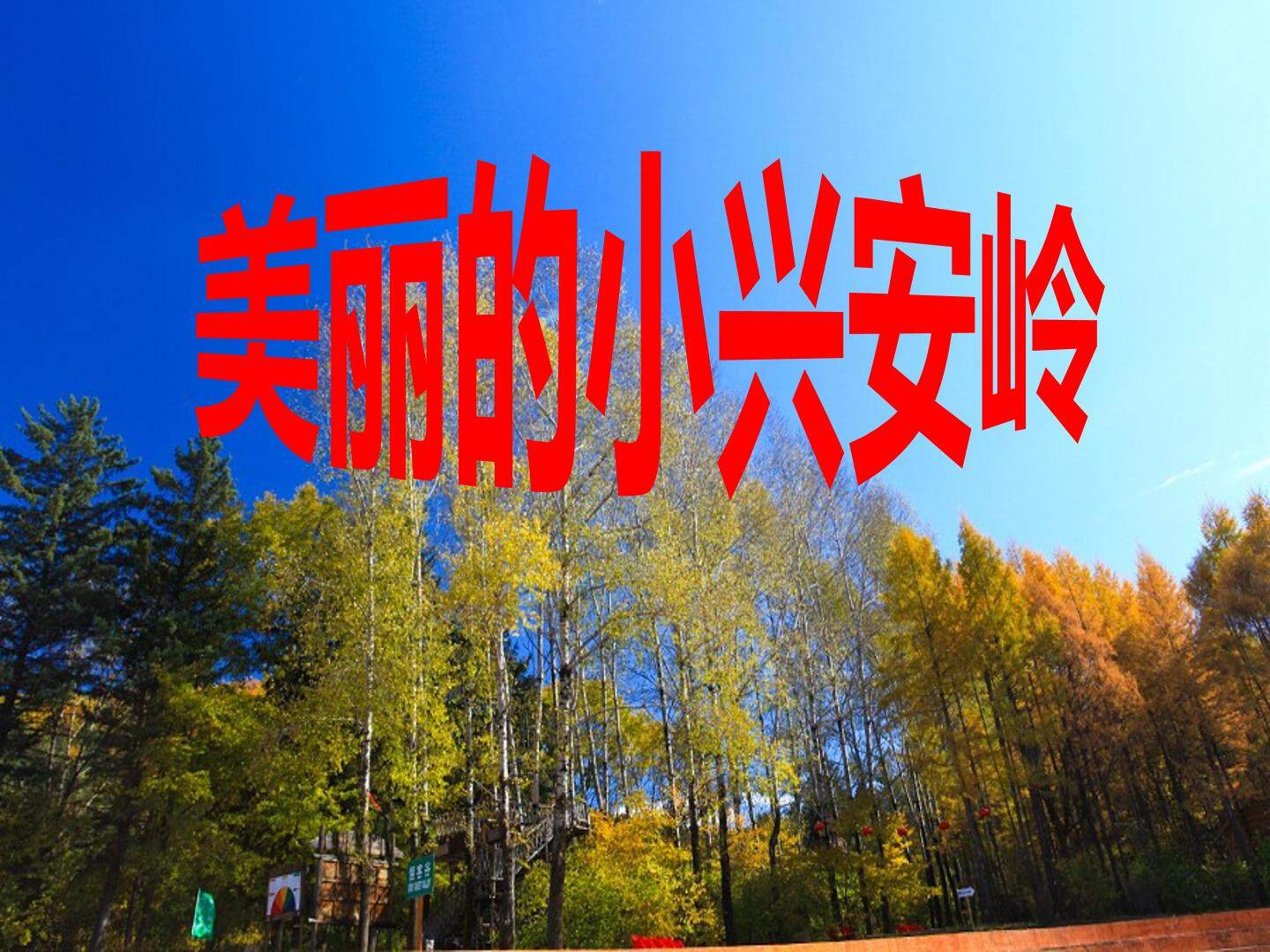 23 美丽的小兴安岭
