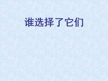 谁选择了它们_课件1