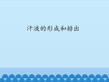 汗液的形成和排出_课件1