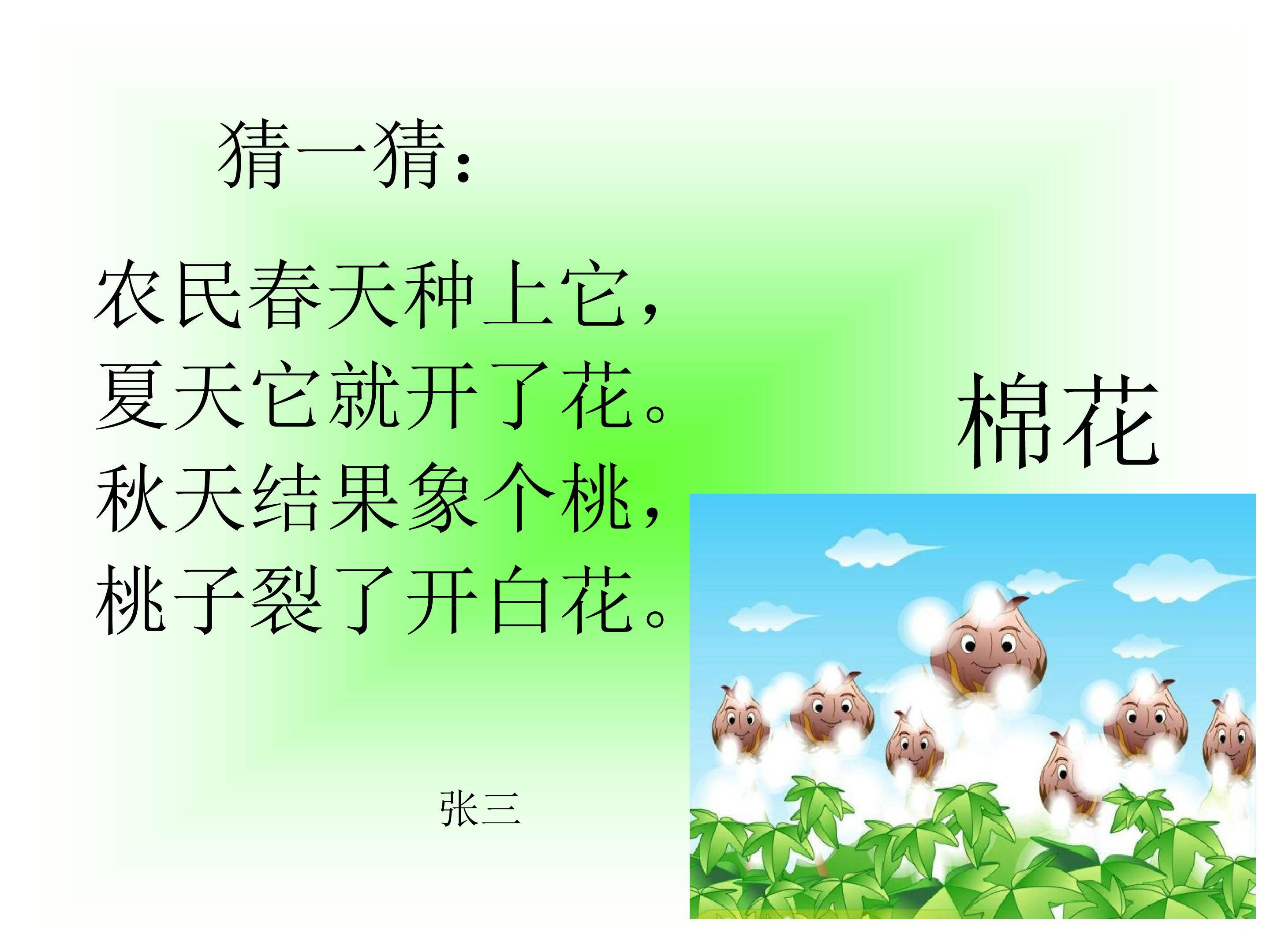 19.棉花姑娘