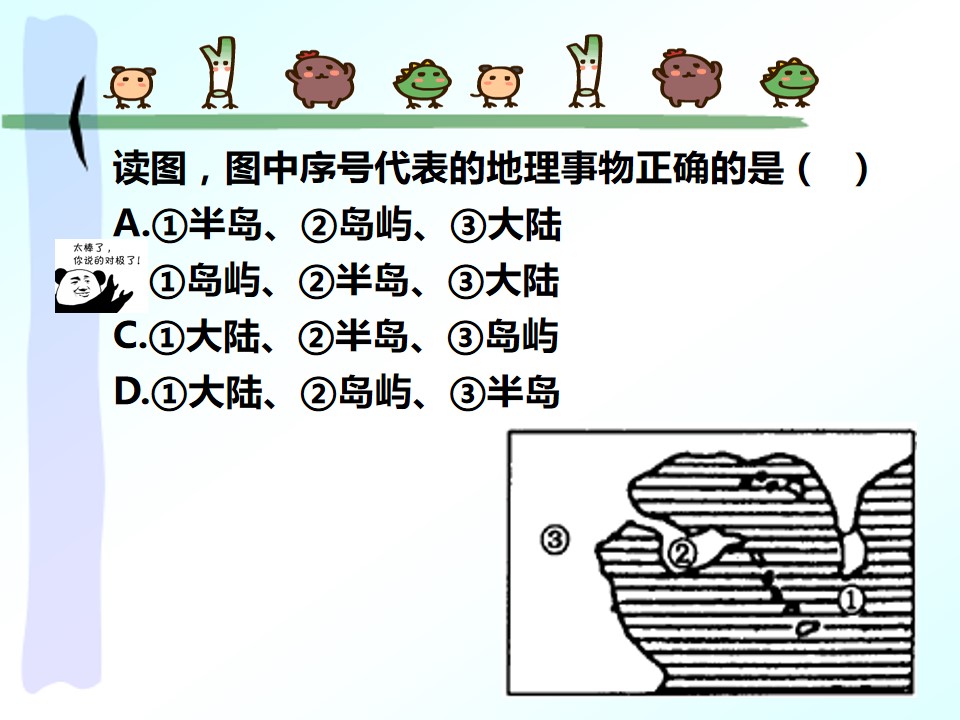 19.jpg