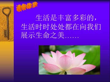 海燕_课件9
