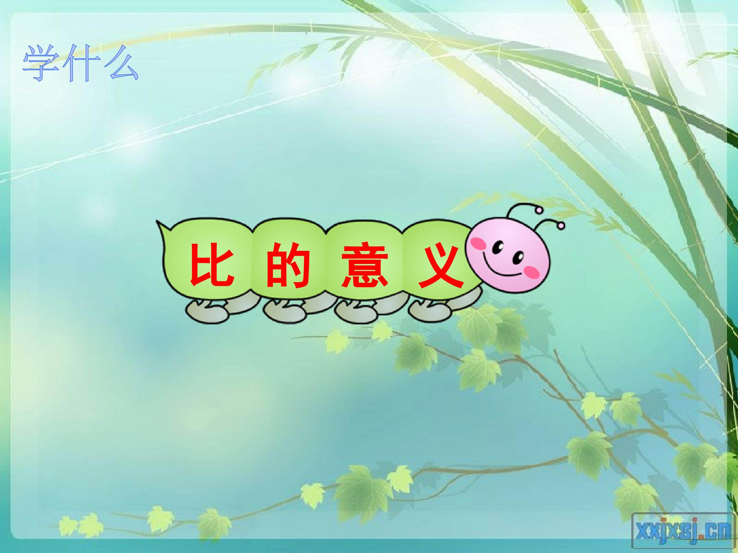 比的意义