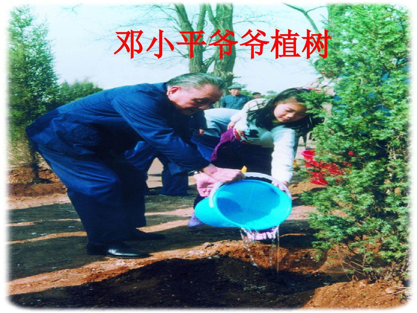 邓小平爷爷植树_课件2