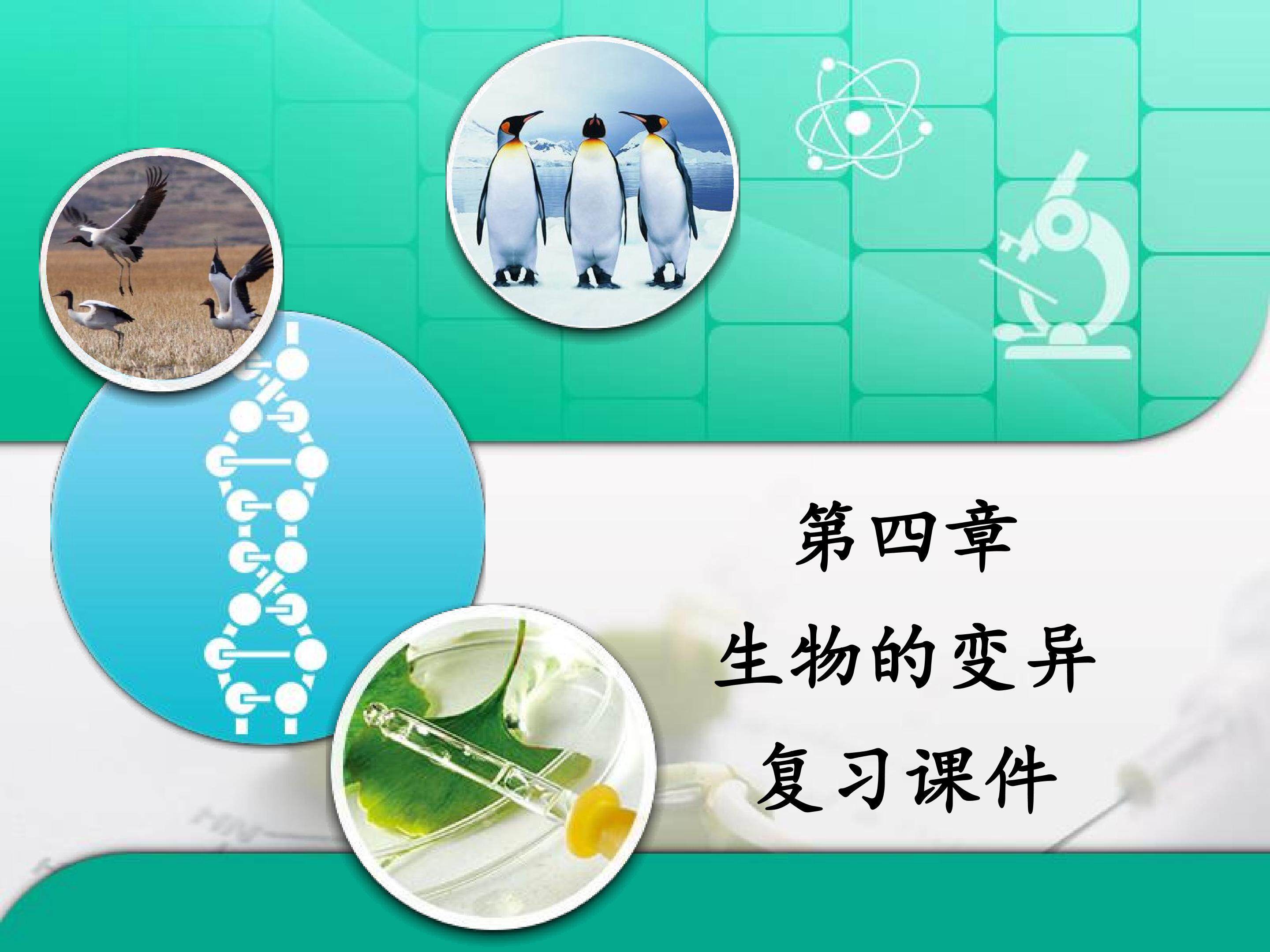 第四章 生物的变异 复习课件