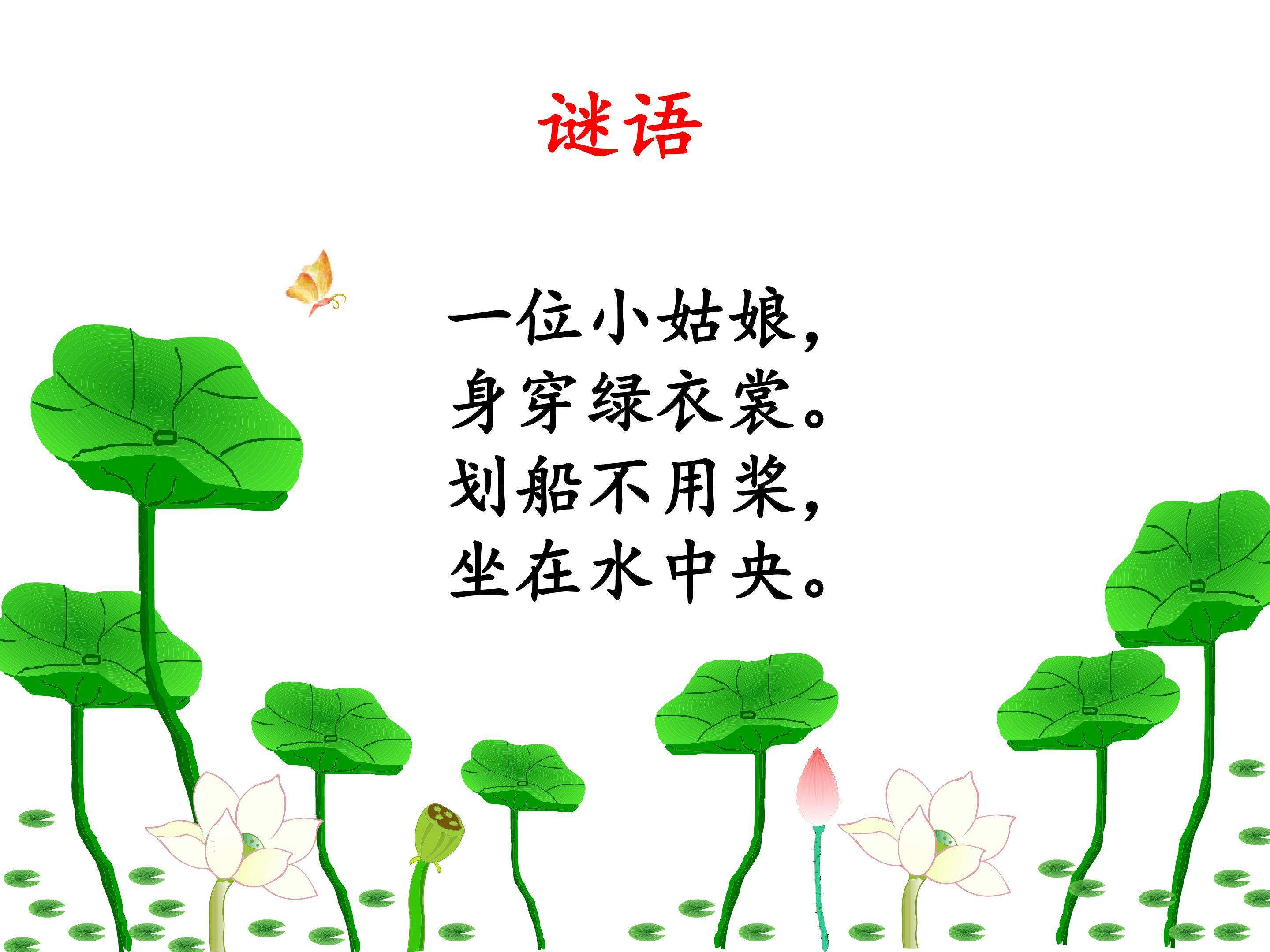 互动课件-荷叶圆圆2