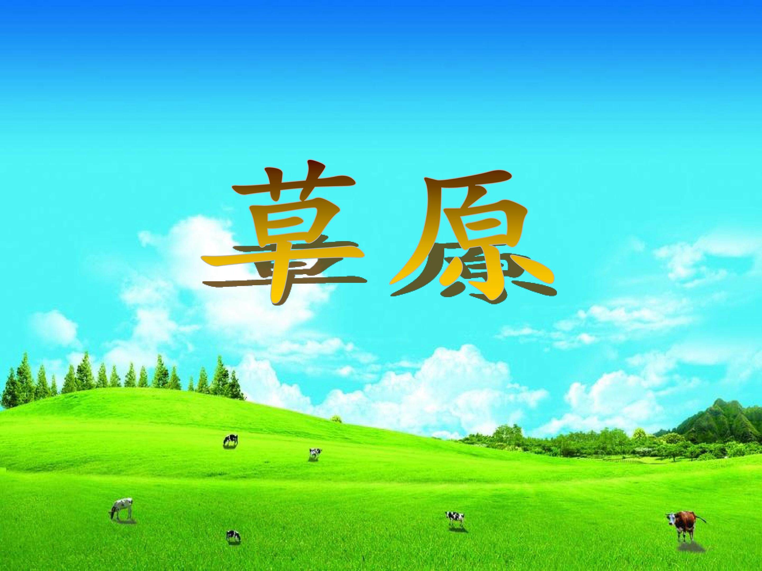 第一课  草原