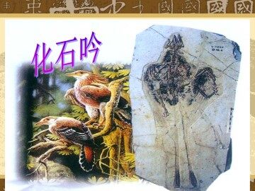 化石吟_课件5