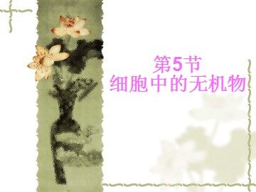 生物高中必修1第二章第五节第一课时课件