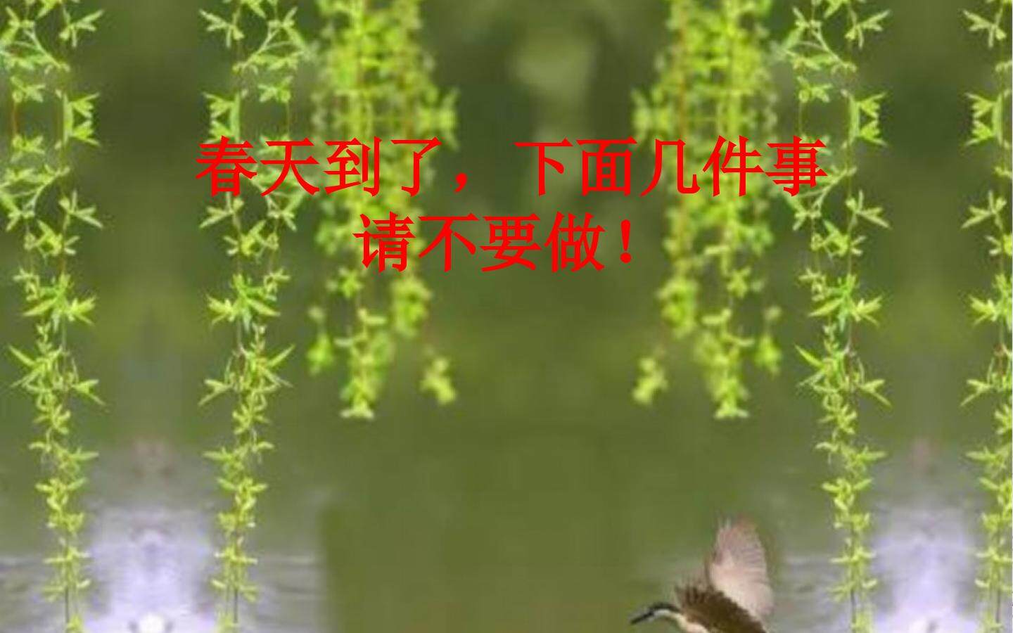 生物多样性的意义