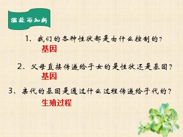 第二节  基因在亲子代间的传递