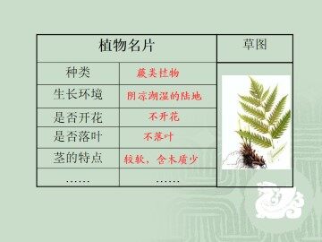 多种多样的植物_课件1