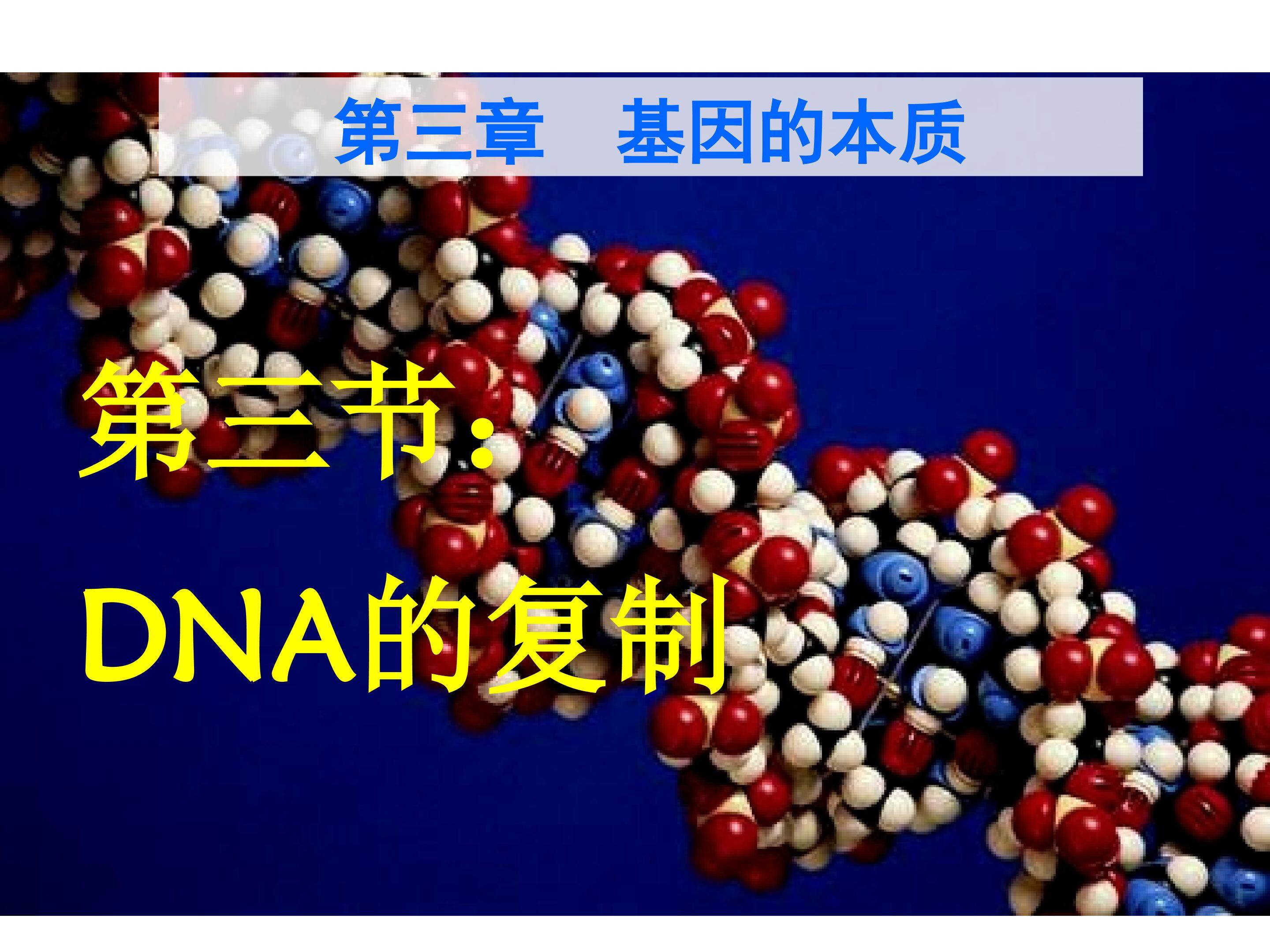 DNA复制