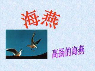 海燕_课件1