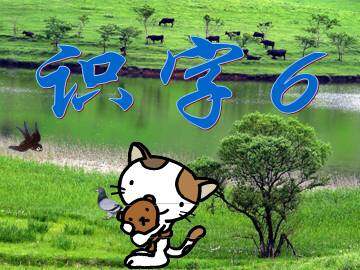 6_课件1
