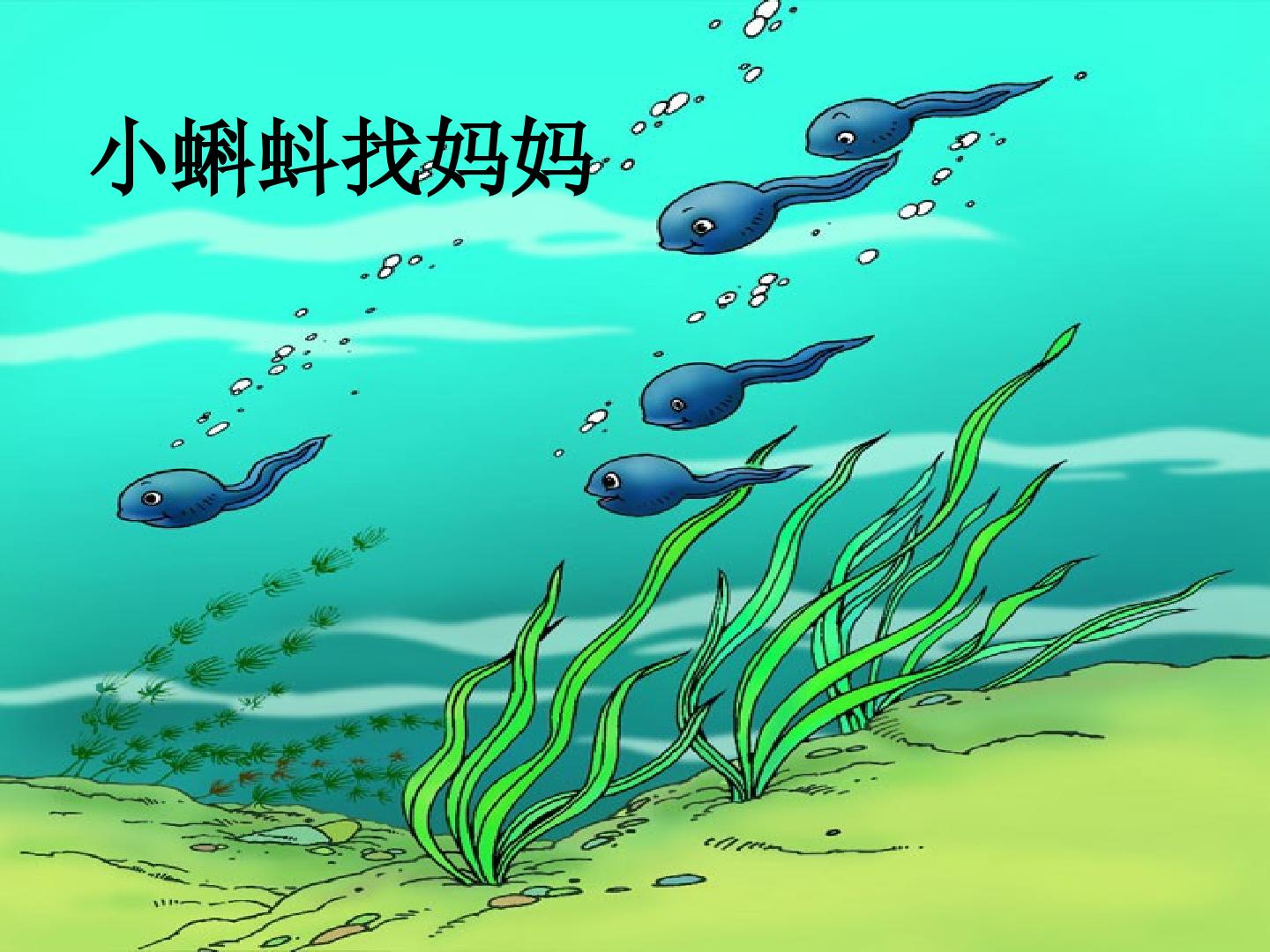 小蝌蚪找妈妈_课件1
