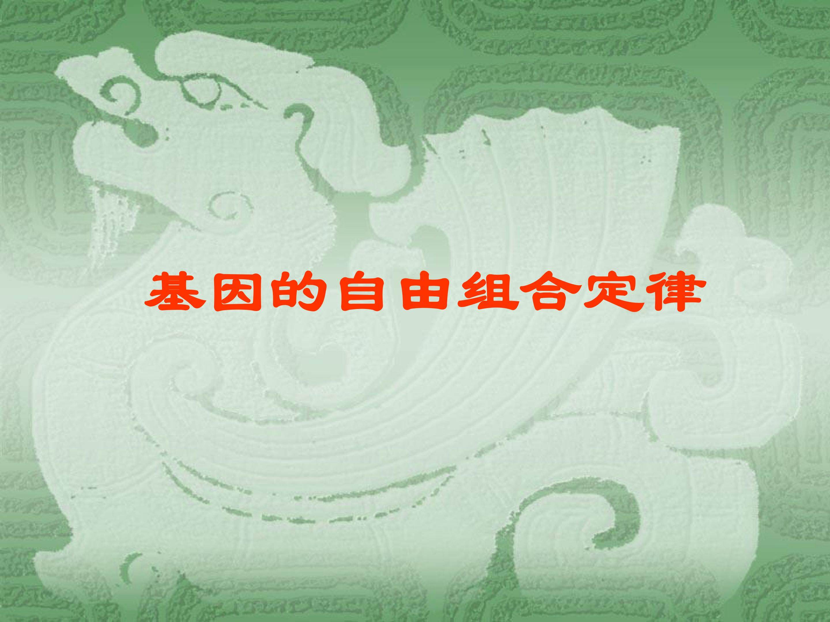 基因的自由组合定律_课件1