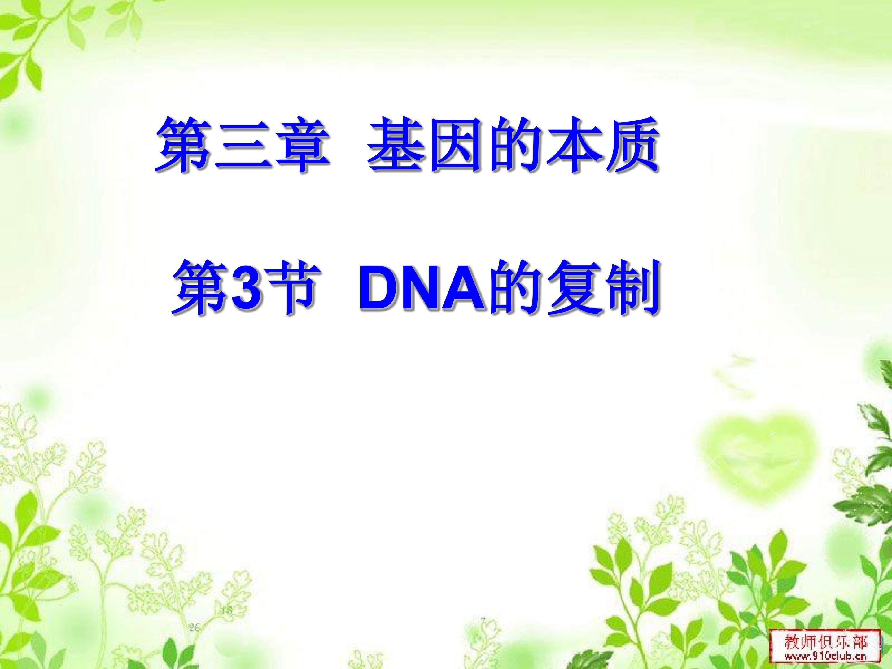DNA的复制