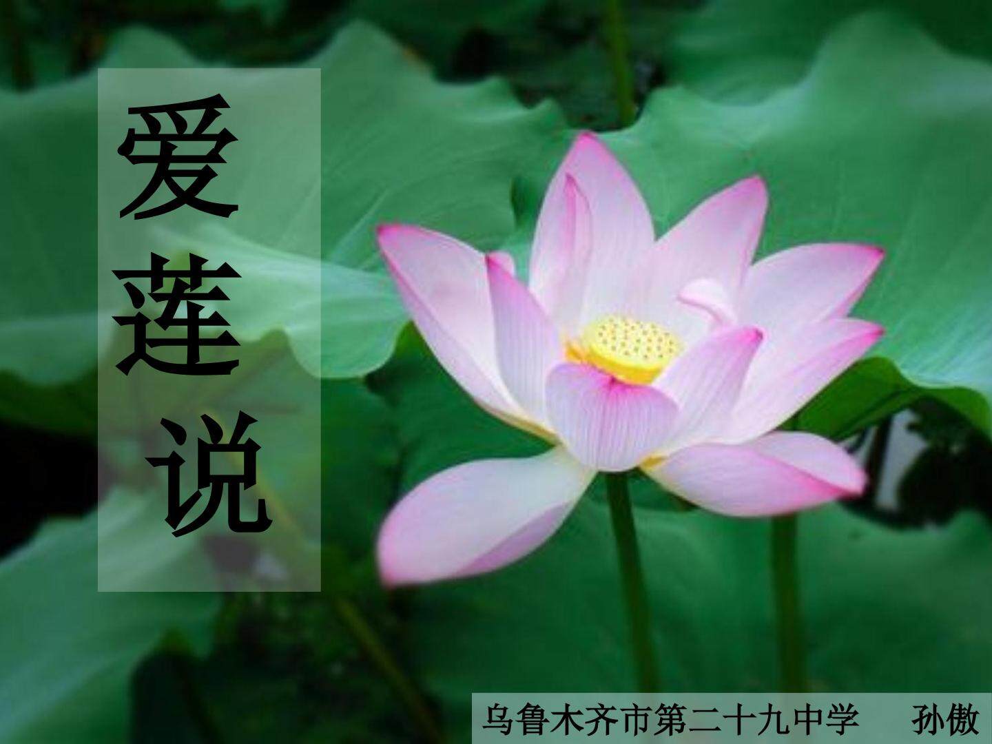 爱莲说