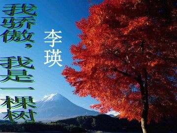 我骄傲，我是一棵树_课件4